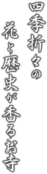 四季折々の花と歴史が香るお寺