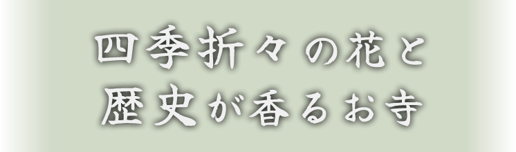 四季折々の花と歴史が香るお寺