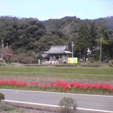 9月秋分の日秋の彼岸法要