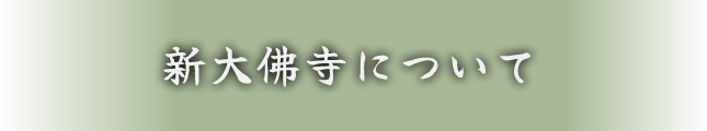 新大佛寺について