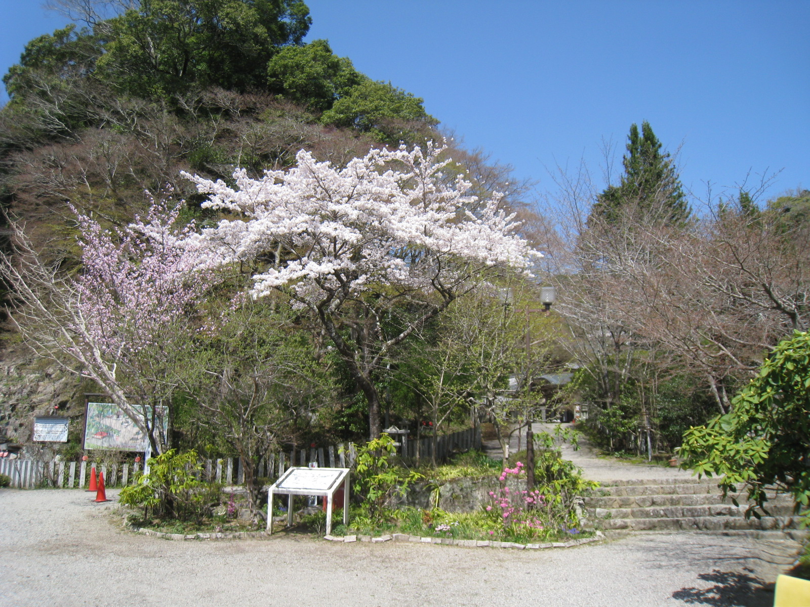 山内の花々が境内を彩りはじめました。