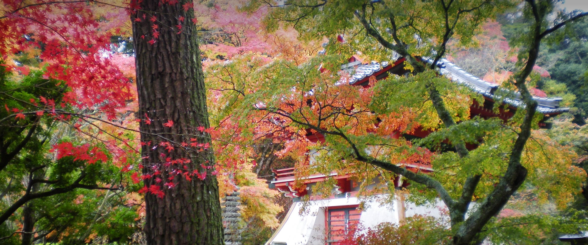 （宗教法人）新大佛寺